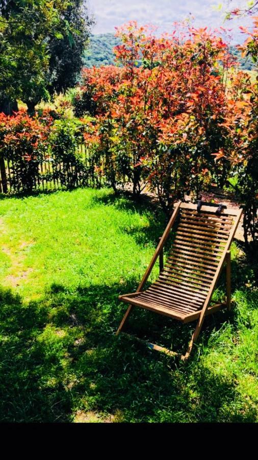 A Fata Di L'Ortolo Gites A La Ferme Sartène Buitenkant foto